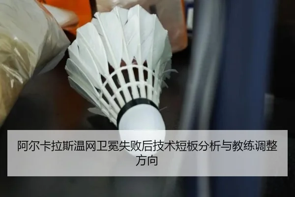 a-er-ka-la-si-wen-wang-wei-mian-shi-bai-hou-ji-shu-duan-ban-fen-xi-yu-jiao-lian-tiao-zheng-fang-xiang-3-565.jpg