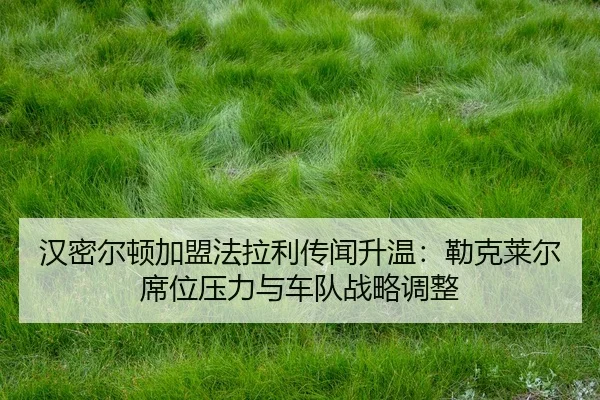 han-mi-er-dun-jia-meng-fa-la-li-chuan-wen-sheng-wen-lei-ke-lai-er-xi-wei-ya-li-yu-che-dui-zhan-lve-tiao-zheng-3-288.jpg