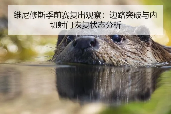 维尼修斯季前赛复出观察：边路突破与内切射门恢复状态分析